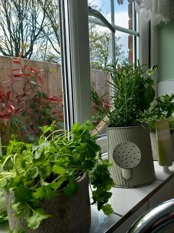 Vila Waveney Belfast Prázdninový dům